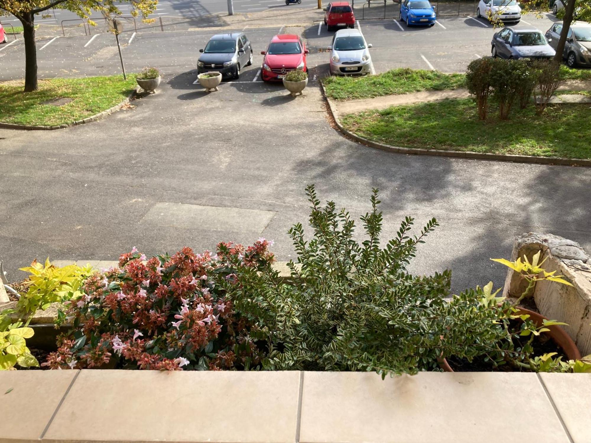 Belvarosi Classic Apartman 85 Square Meters Szombathely Exteriör bild